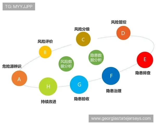 全面解析B体育国际官网入口的访问方式与常见问题解决方案